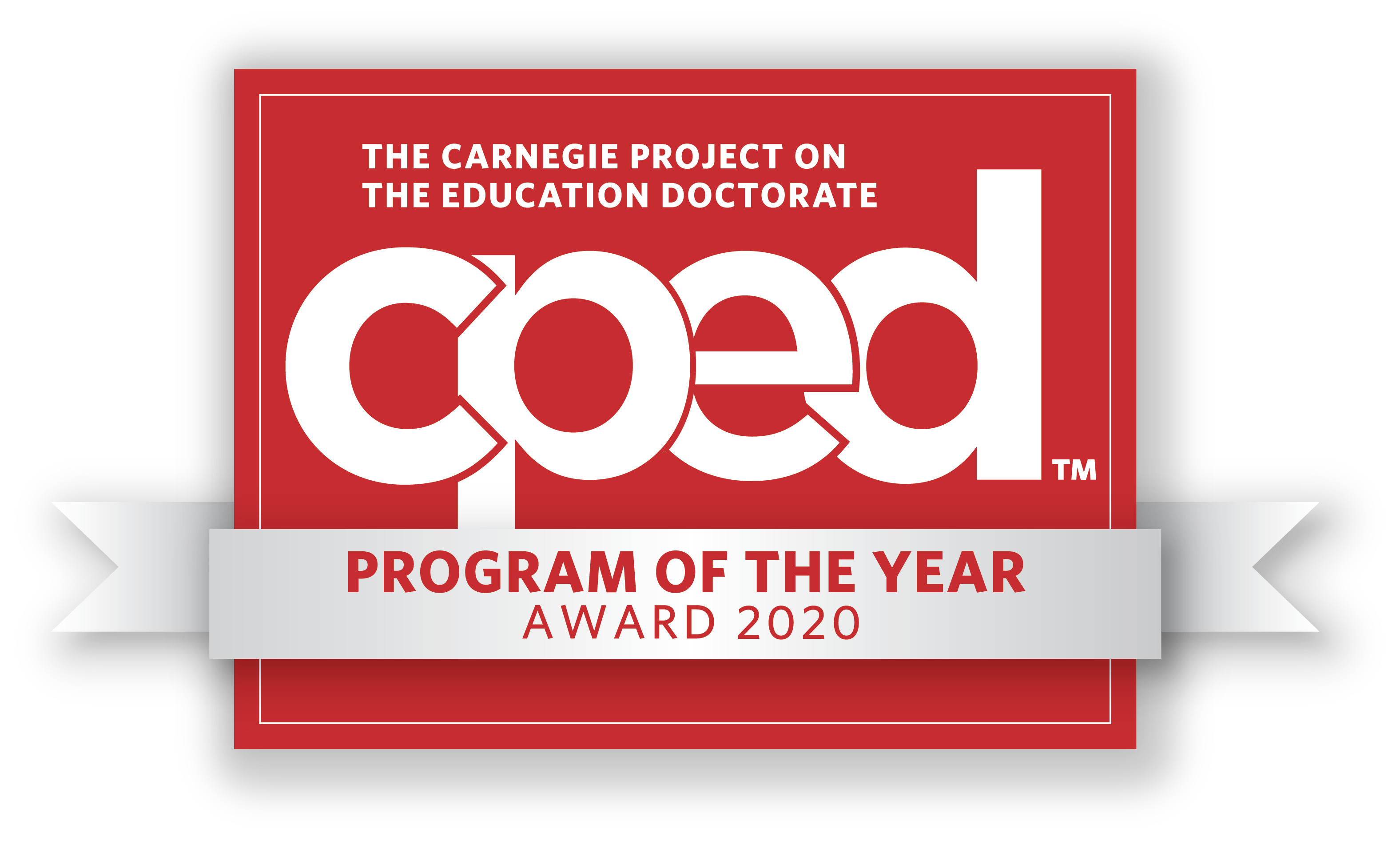 Program of the Year 2020 logo