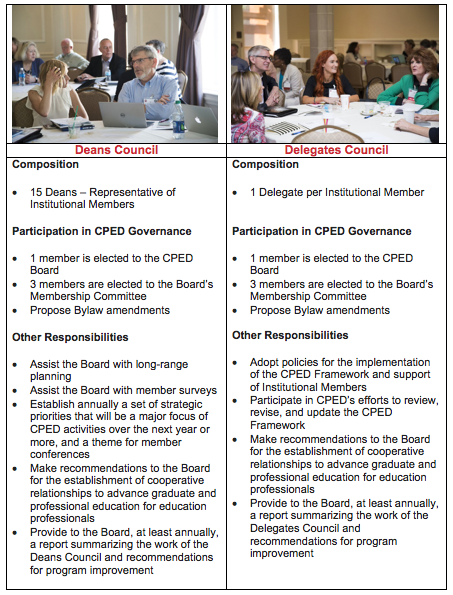 Breakdown of responsibilities for the Deans Council and Delegates Council